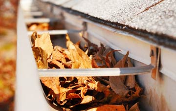 Waltham Chase gutter cleaning companies