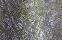 Waltham Chase fibreglass roof work